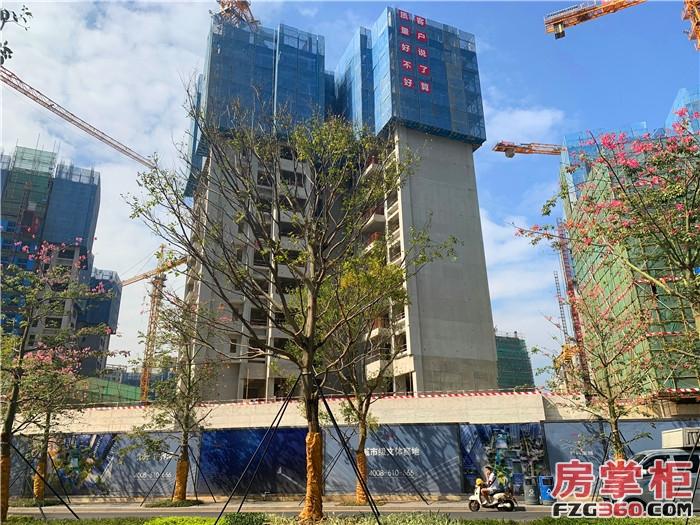 万科星城特价房,万科香蜜府开盘