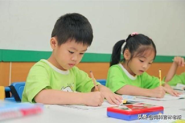 托管班真的很赚钱吗,开托管班真的能赚钱吗