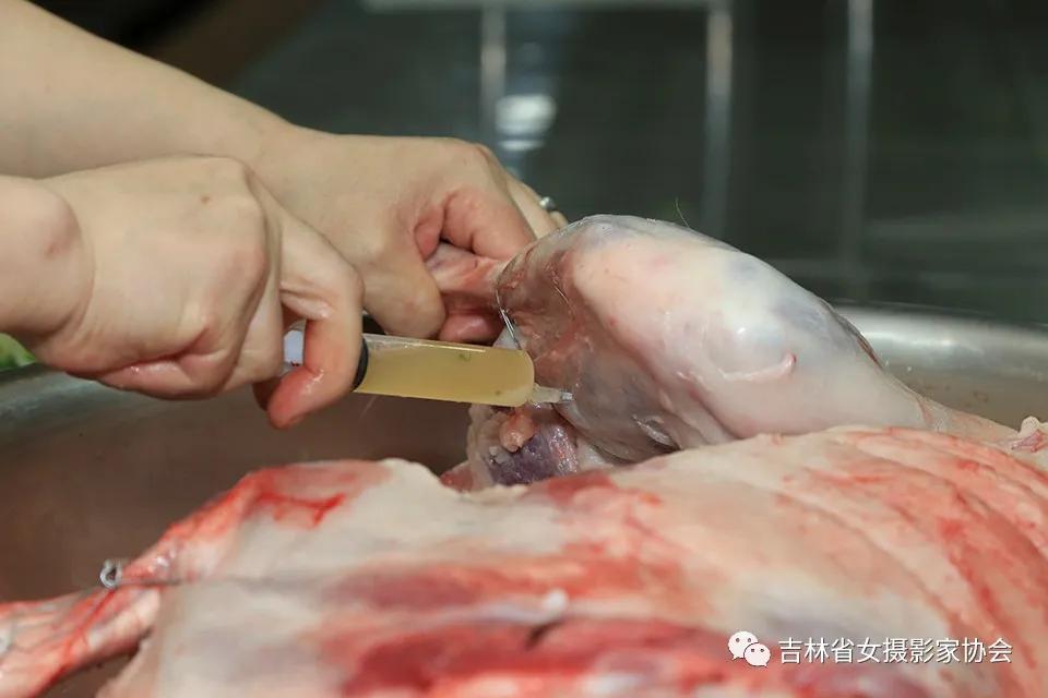 松原市文化遗产统计图,松原非物质文化遗产图典