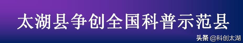 天仙配讲述,天仙配介绍简短