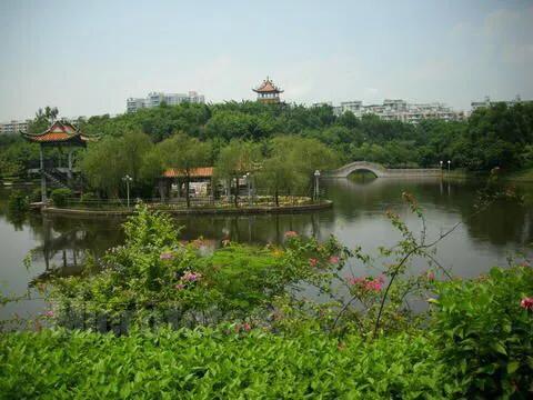 深圳免费公园哪里最好啊,深圳十大免费公园景点大全