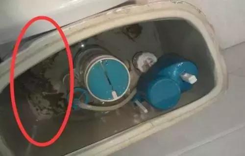 马桶冲力下降怎么办？内行人只用了1招，冲力立马强10倍