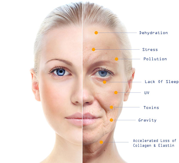 新西兰营养品什么牌子好,海外营养品排名前十名