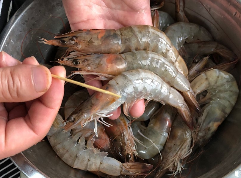 去虾线时被扎手了,去虾线的时候老是断