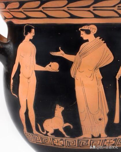 猫的故事高清图片,盘点猫的曾经故事