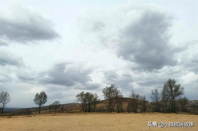 朵迪讲故事,故事朵拉