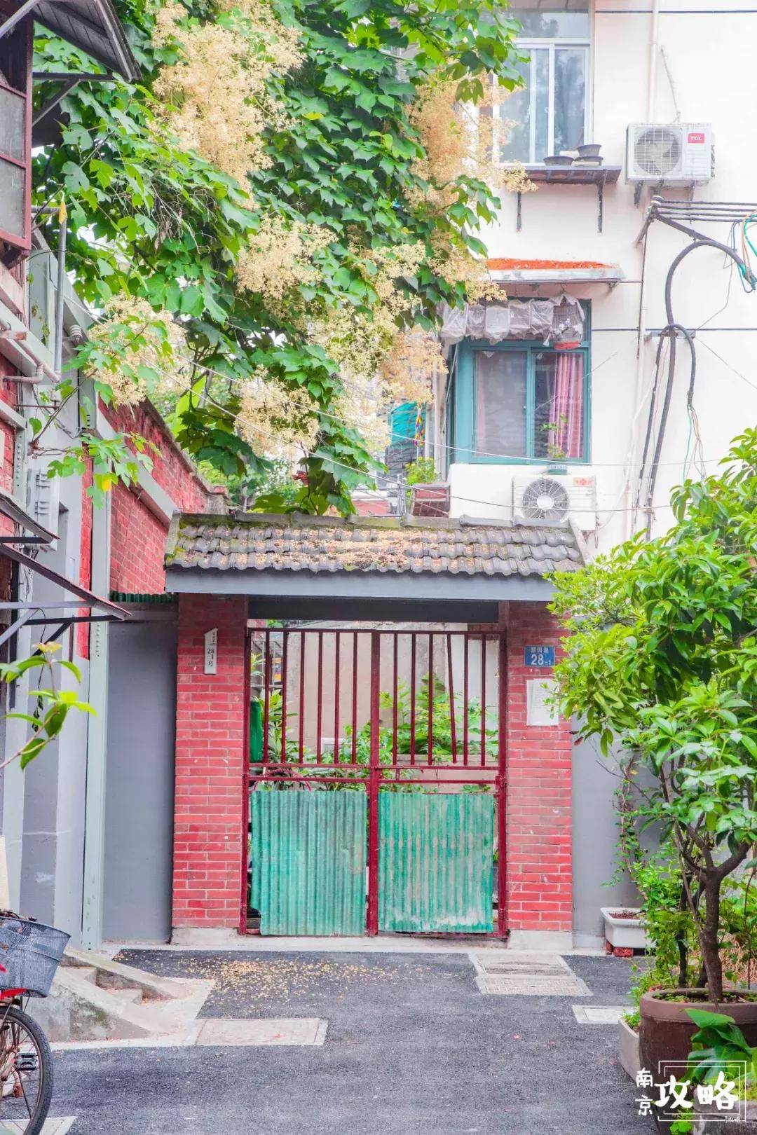 慧园里，南京城中，时光交错的角落