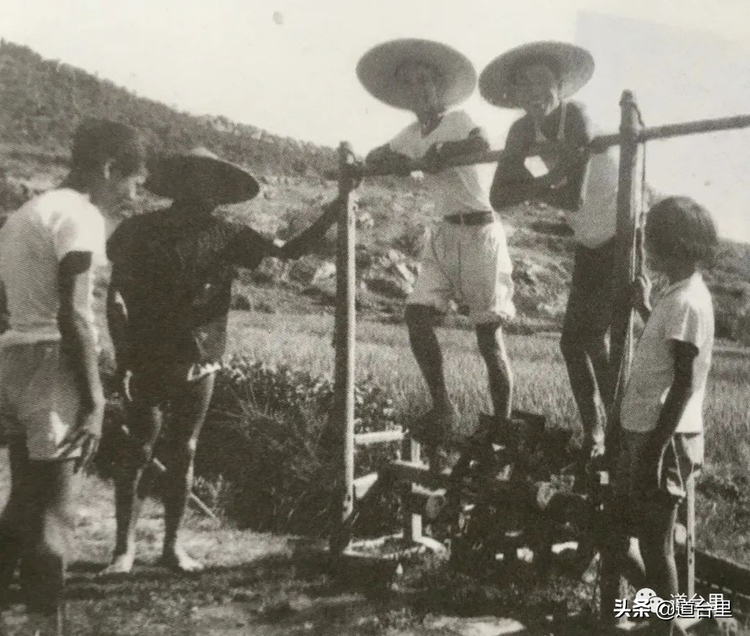 洪家楼老照片,洪家楼旧照