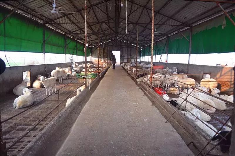 许昌胖东来供货商真实感受,许昌胖东来工厂条件