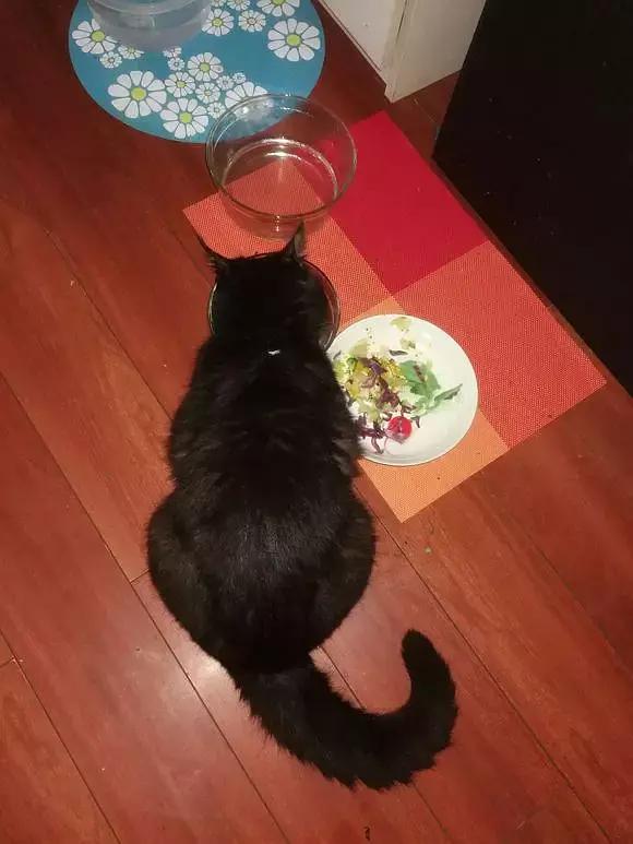 糖尿病患者胆囊炎胰腺炎同时出现,胆囊结石胰腺炎糖尿病