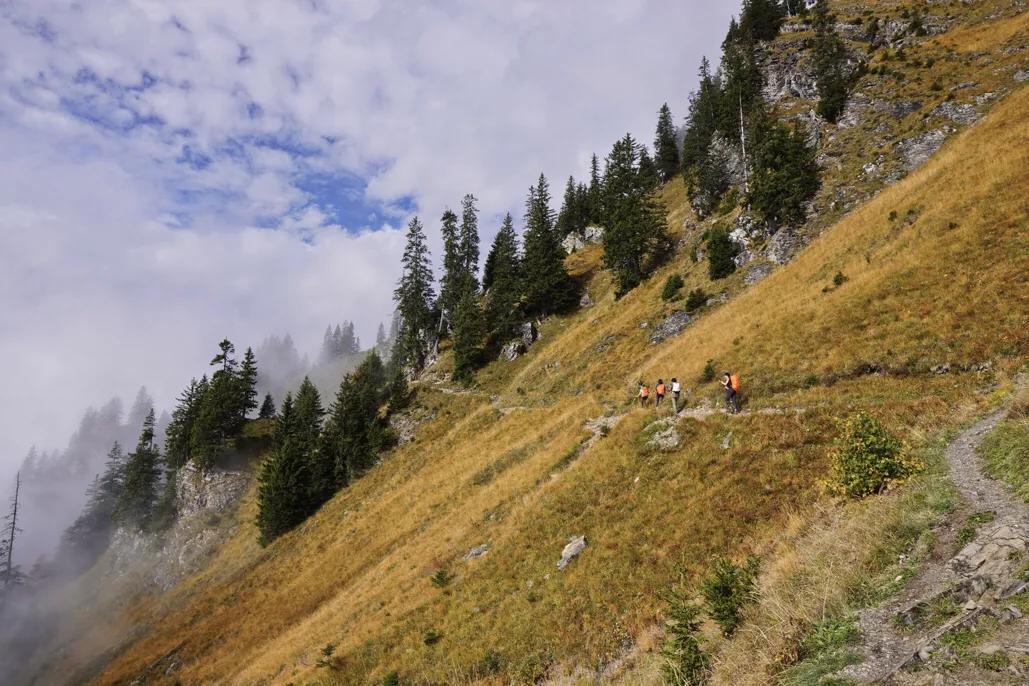 瑞士少女峰旅游详细攻略,四姑娘山徒步路线免费推荐