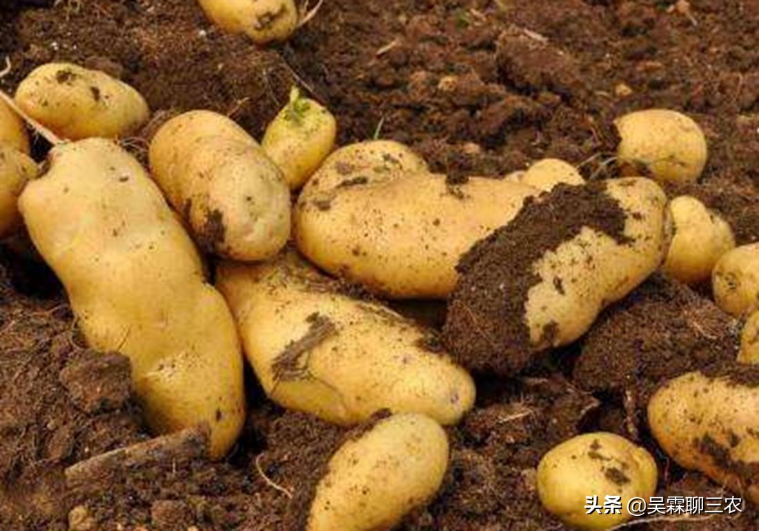 入窖后温度变化及应对,粮食入窖温度高低有什么作用