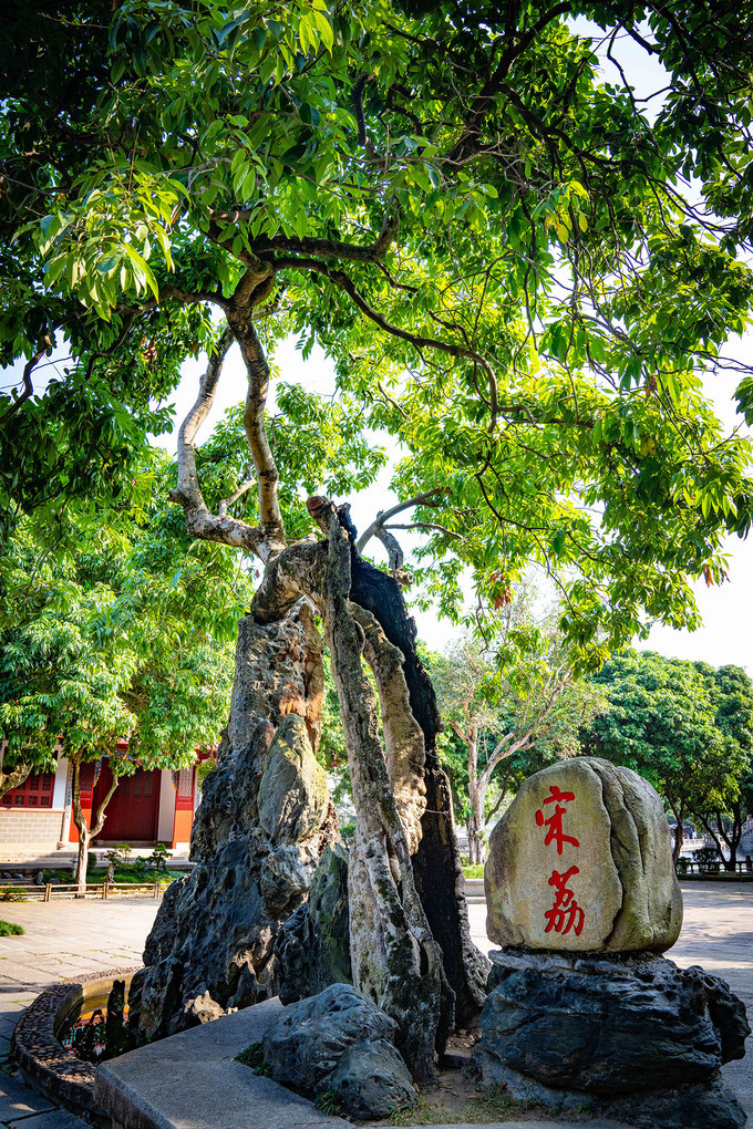 福州7日游的最佳攻略,福州一日游最佳方案旅游攻略