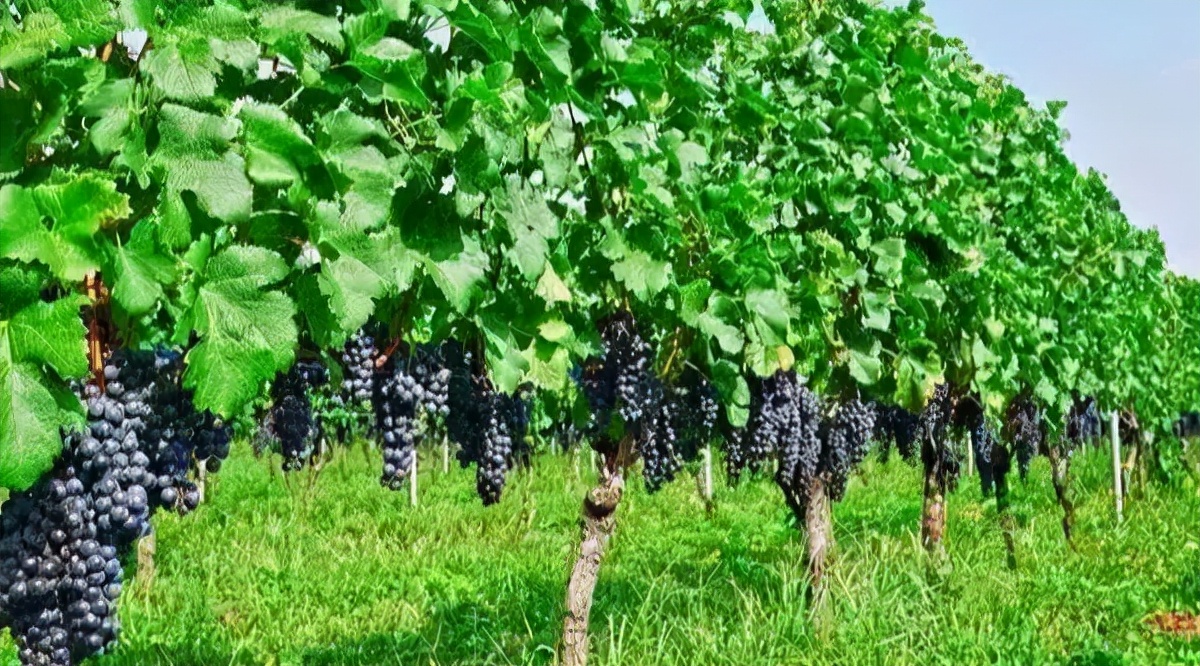 惠州南昆山不花钱旅游攻略,惠州旅游攻略推荐一下