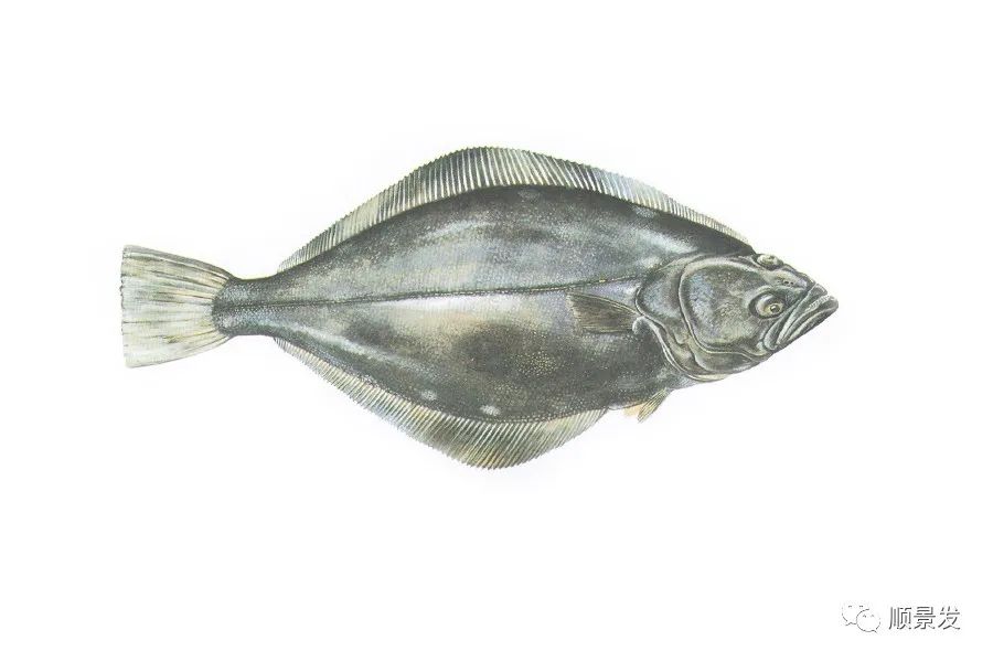 挪威和中国签订协议,挪威希望与中国加强合作