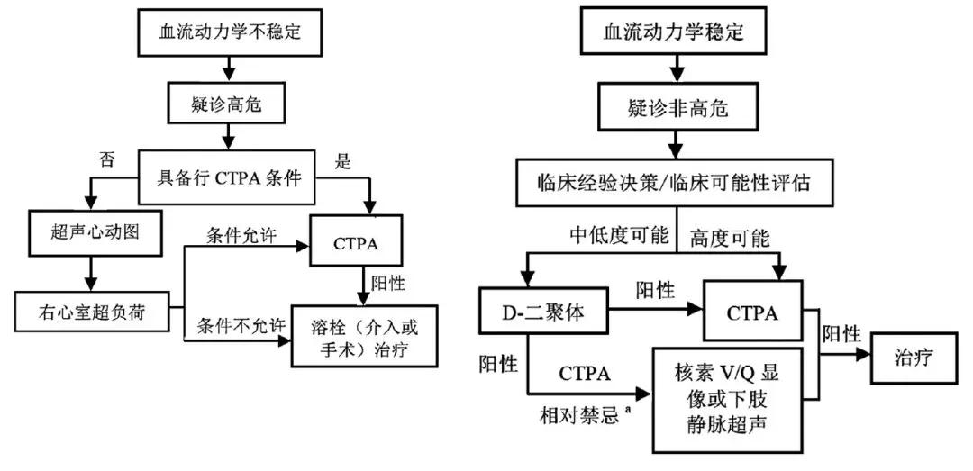 有关d二聚体的知识,关于d二聚体升高的一些解读