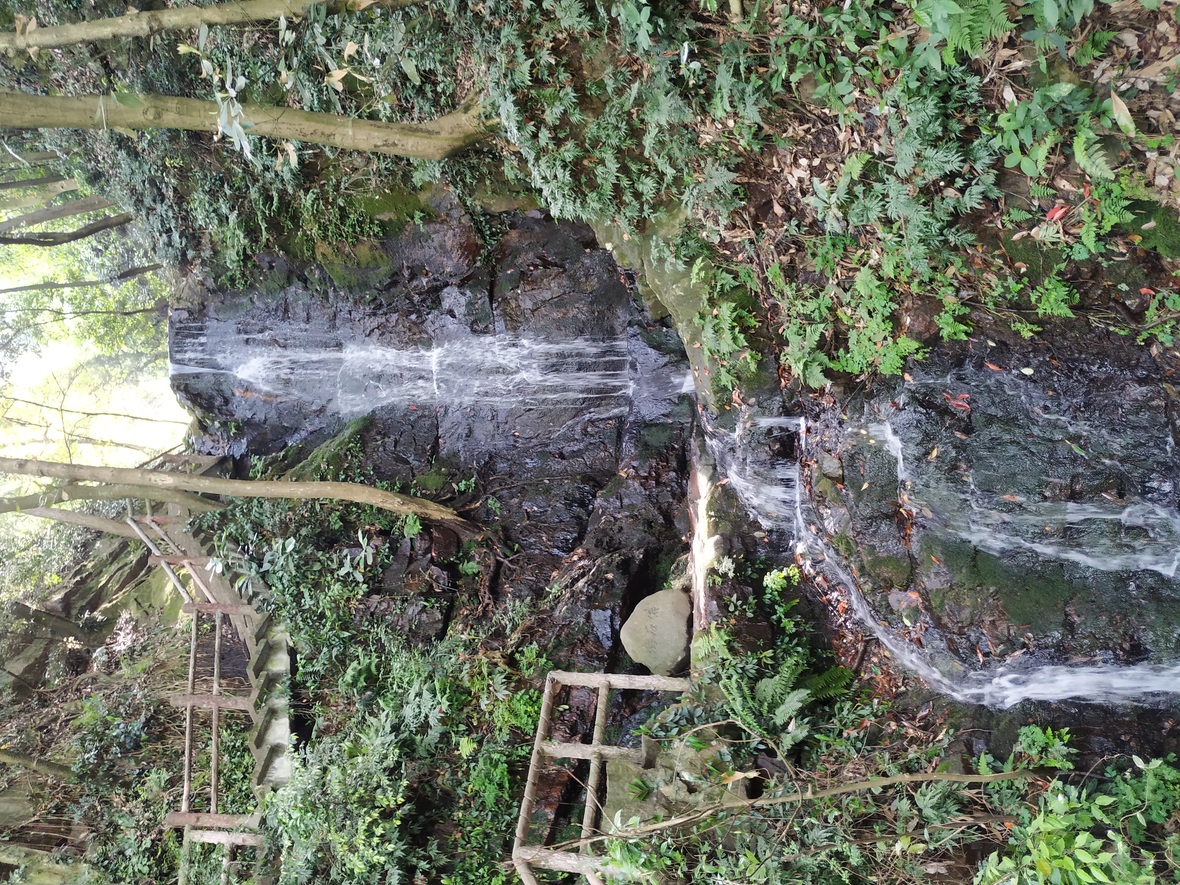 一个旅居者眼中的杭州：似水流年捕捉那四时光阴，美是记得