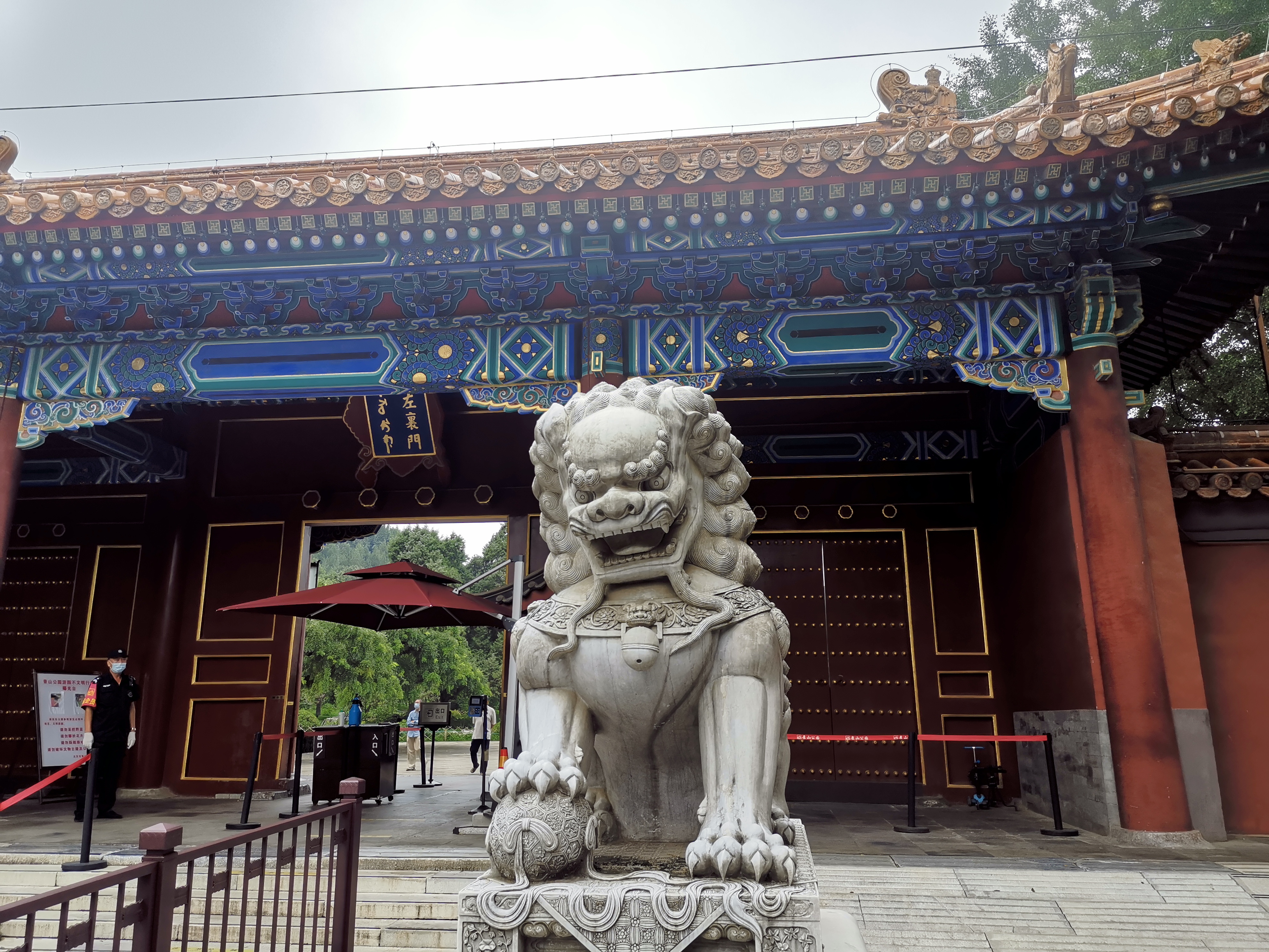 用中草药调理便秘一般吃多久,调理肠道治便秘的中成药