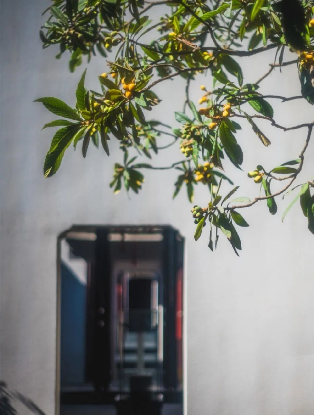 何不归去做个闲人,闲来无事做个闲人