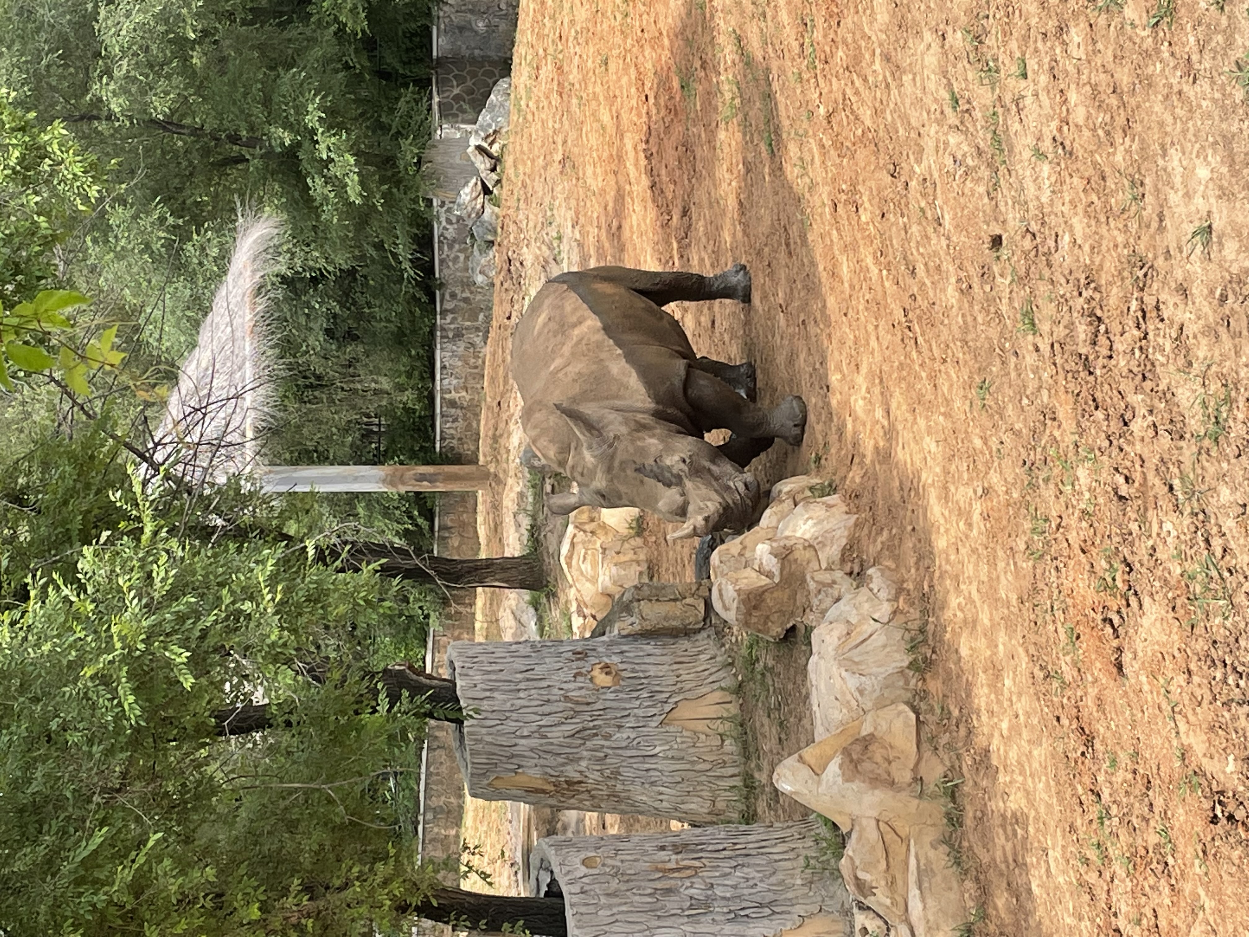 沈阳森林动物园春游,五一小长假去沈阳森林动物园游玩