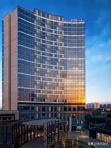 带宠物住宿酒店,带宠旅行酒店