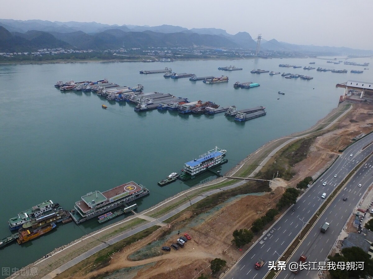 长江禁渔期鱼满为患,长江十年禁渔鱼满为患