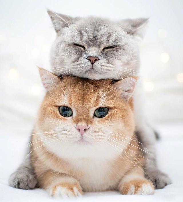 幽默笑话看一遍笑一遍专治不开心,动态幽默笑话最新