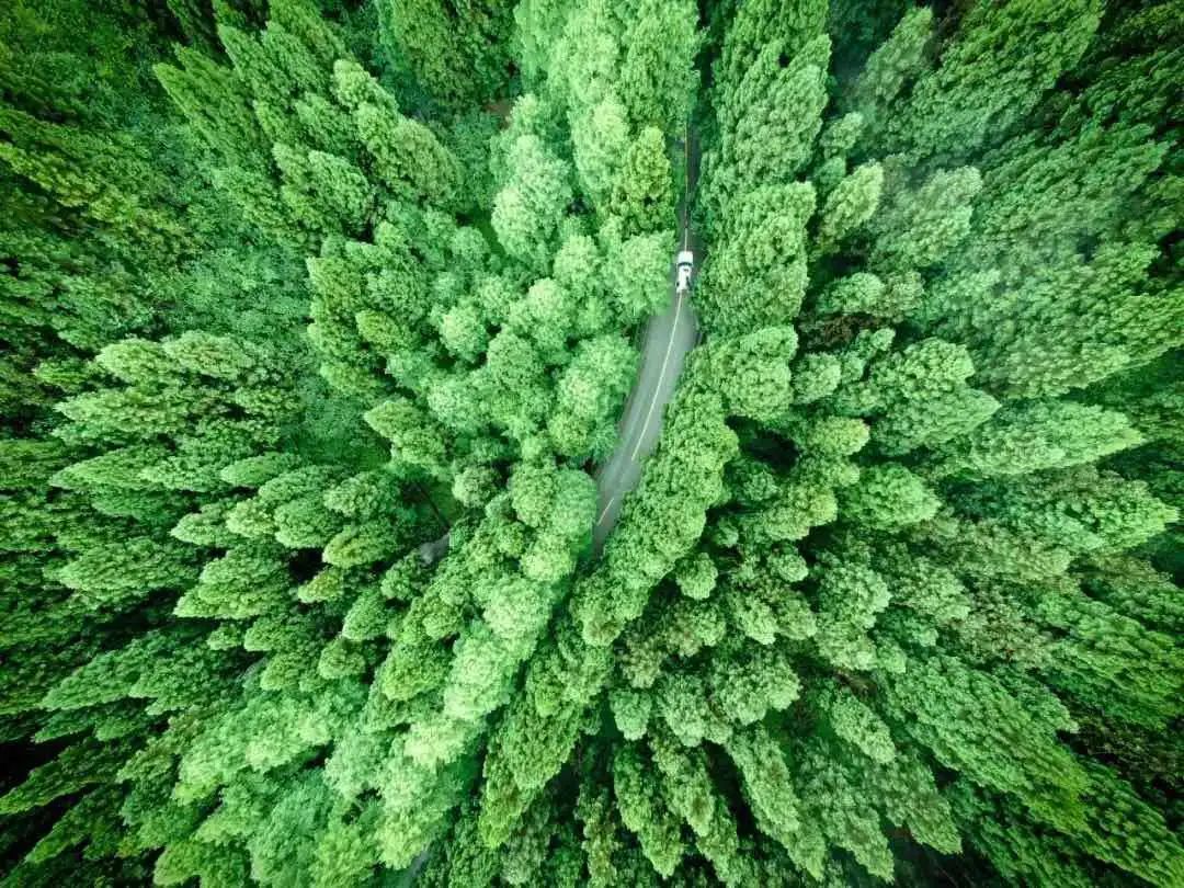 重庆周边好耍的地方,端午重庆周边旅游2-3天推荐地方