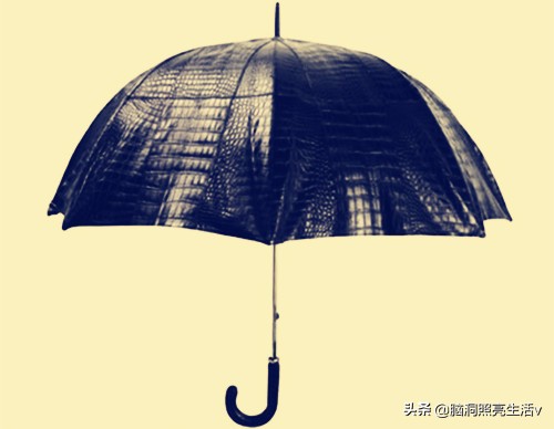 虽然在生活中经常见到,但却只有富豪才能买得起的9个昂贵物品