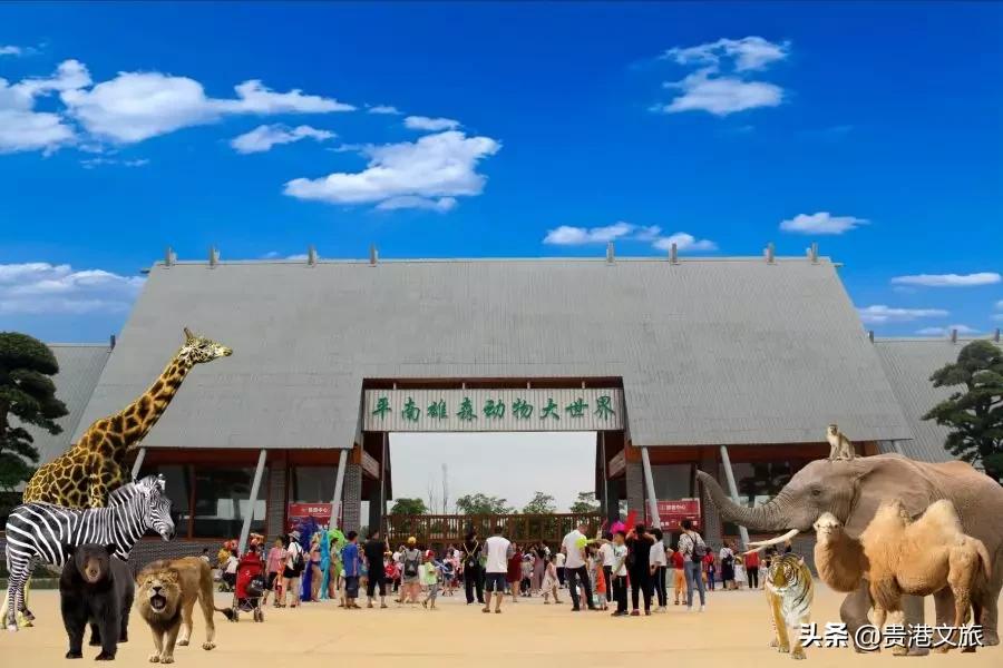 2020年度全国旅游年票发售开启,新年景点年票