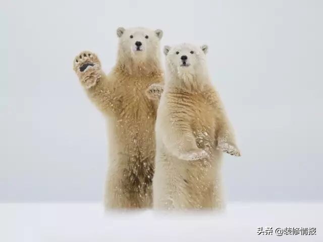 精艺良工：网红餐厅韦老板，如何变身熊爸爸的