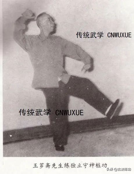 意拳王斌魁推手视频大全,意拳大师王斌魁先生作拳视频