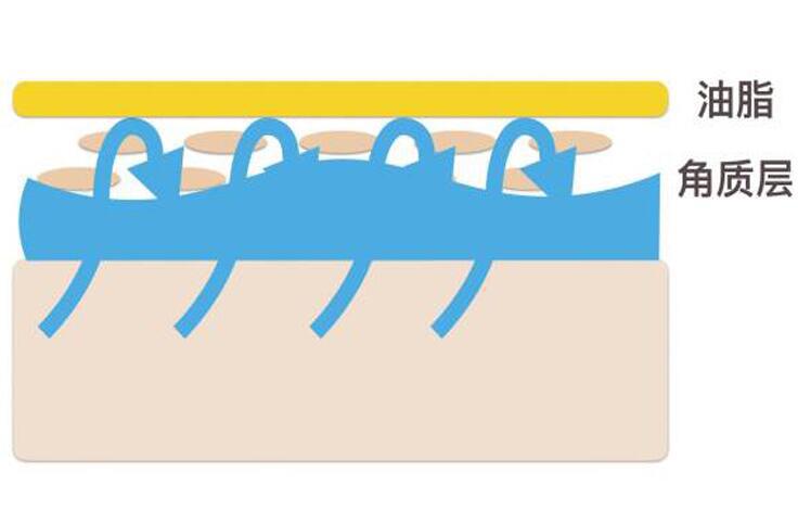 脸出油买哪款爽肤水,夏天用什么牌子的爽肤水好