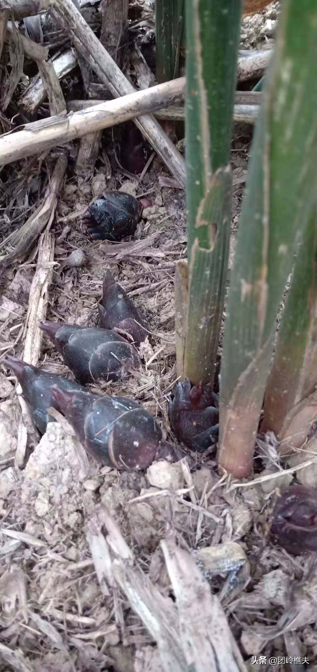 创业项目小项目,创业实用小项目