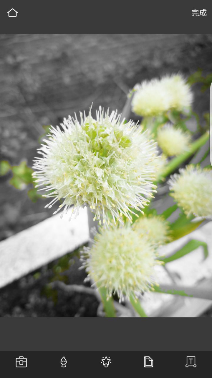 pixlr万能修图app,pixlrapp需要费用