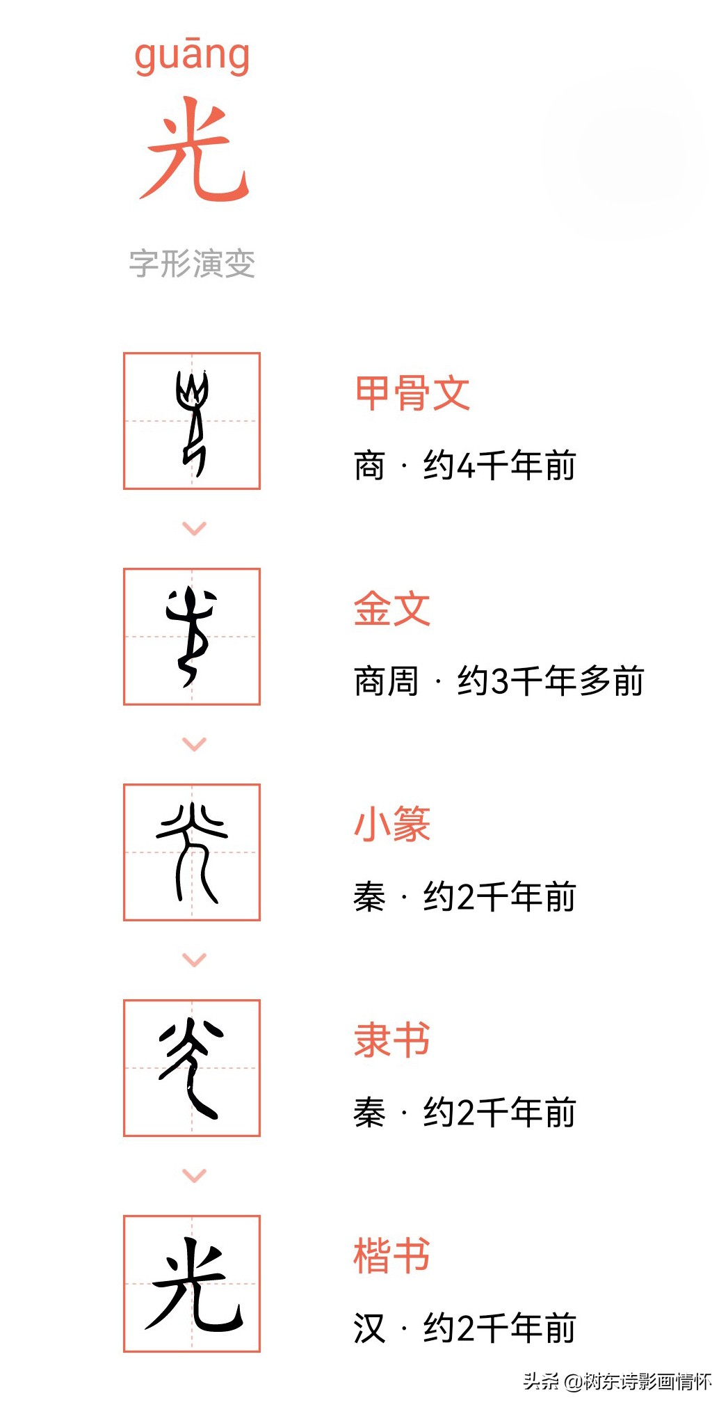 树东说文解字“光”,韬光养晦的历史典故,给我们的启示