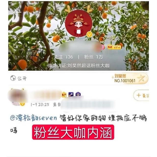 谭松韵刘昊然发文,谭松韵刘昊然关系采访