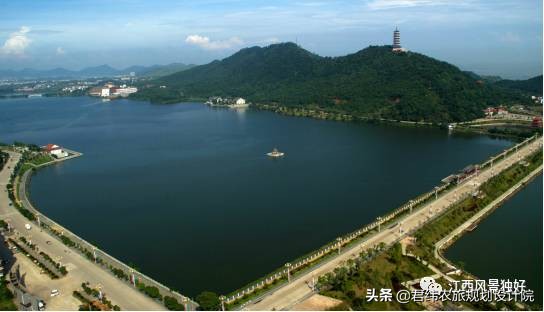 鄱阳湖候鸟保护区站长是谁,鄱阳湖候鸟江西都昌县