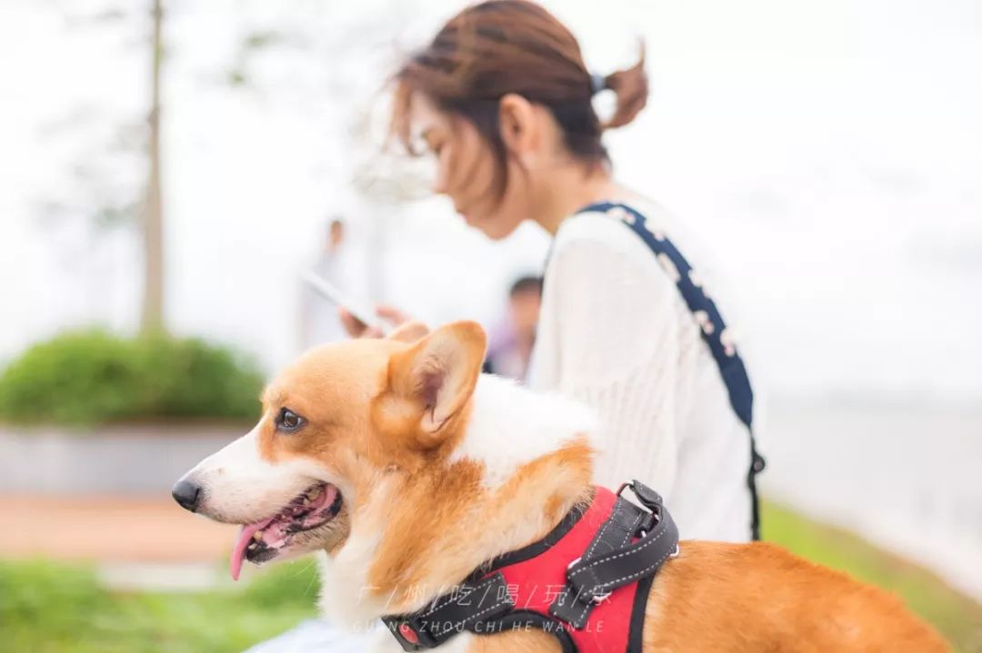 广州，说好了！等你痊愈后，这100件事我们一起完成。