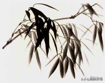 图文教程竹子画法,怎么画竹最简单最好看