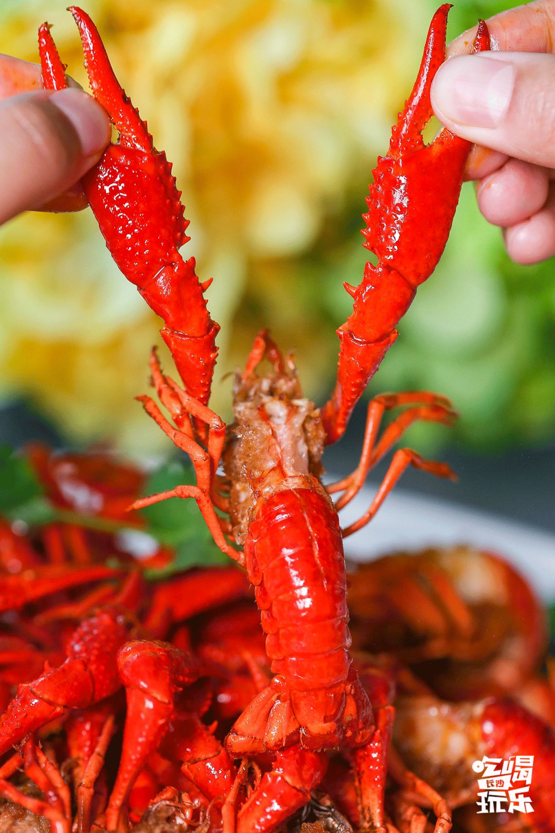 长沙城南绝美音乐餐厅！7.8折吃遍全国精致料理