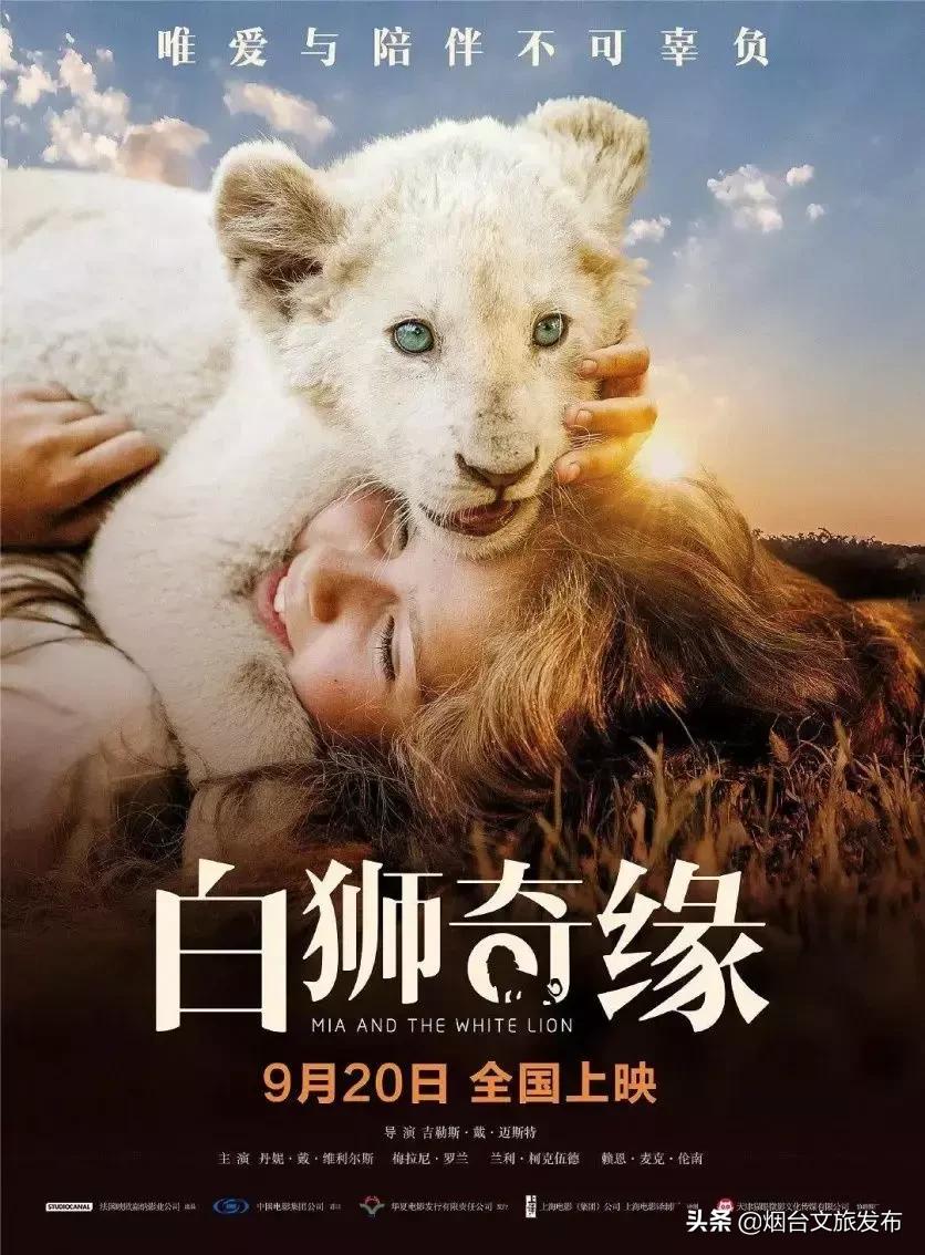 最新影讯震撼来袭,最新影讯电影排期