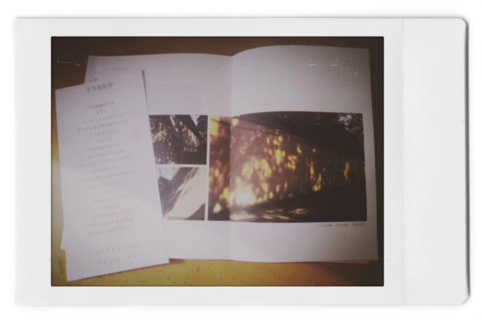 斑驳错落的光影,光影斑驳旧照片