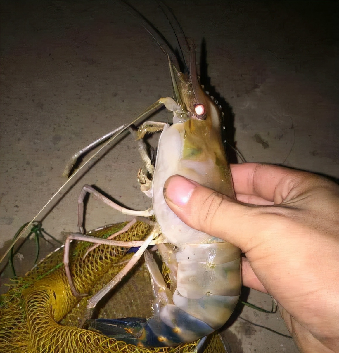 澶ц櫨鍏ヤ镜鐝犳睙,宸ㄨ櫨鍏ヤ镜鏈変汉鎷呭績娉涙互鎴愮伨