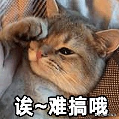 21fall留学申请时间规划,22fall留学申请注意事项