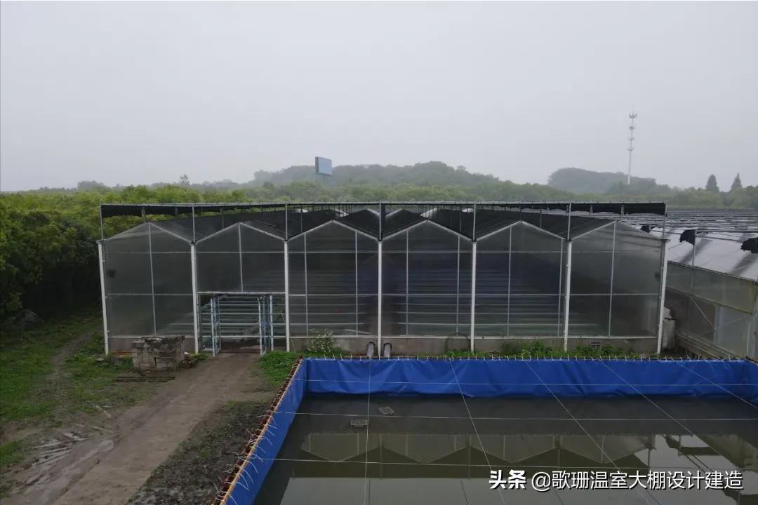 歌珊玻璃温室大棚安装,pc阳光板温室大棚的造价