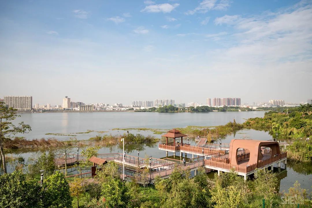 疫情期间免费开放的公园,疫情期间开放的公园有哪些