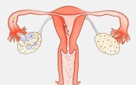 睾酮t低能吃药吗,睾酮水平和年龄对照表