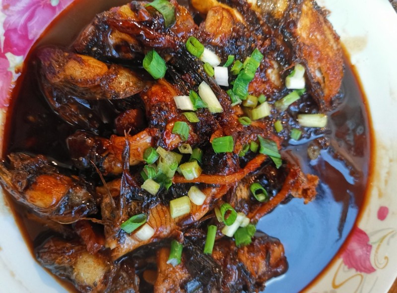 番禺野生笋壳鱼,野外笋壳鱼