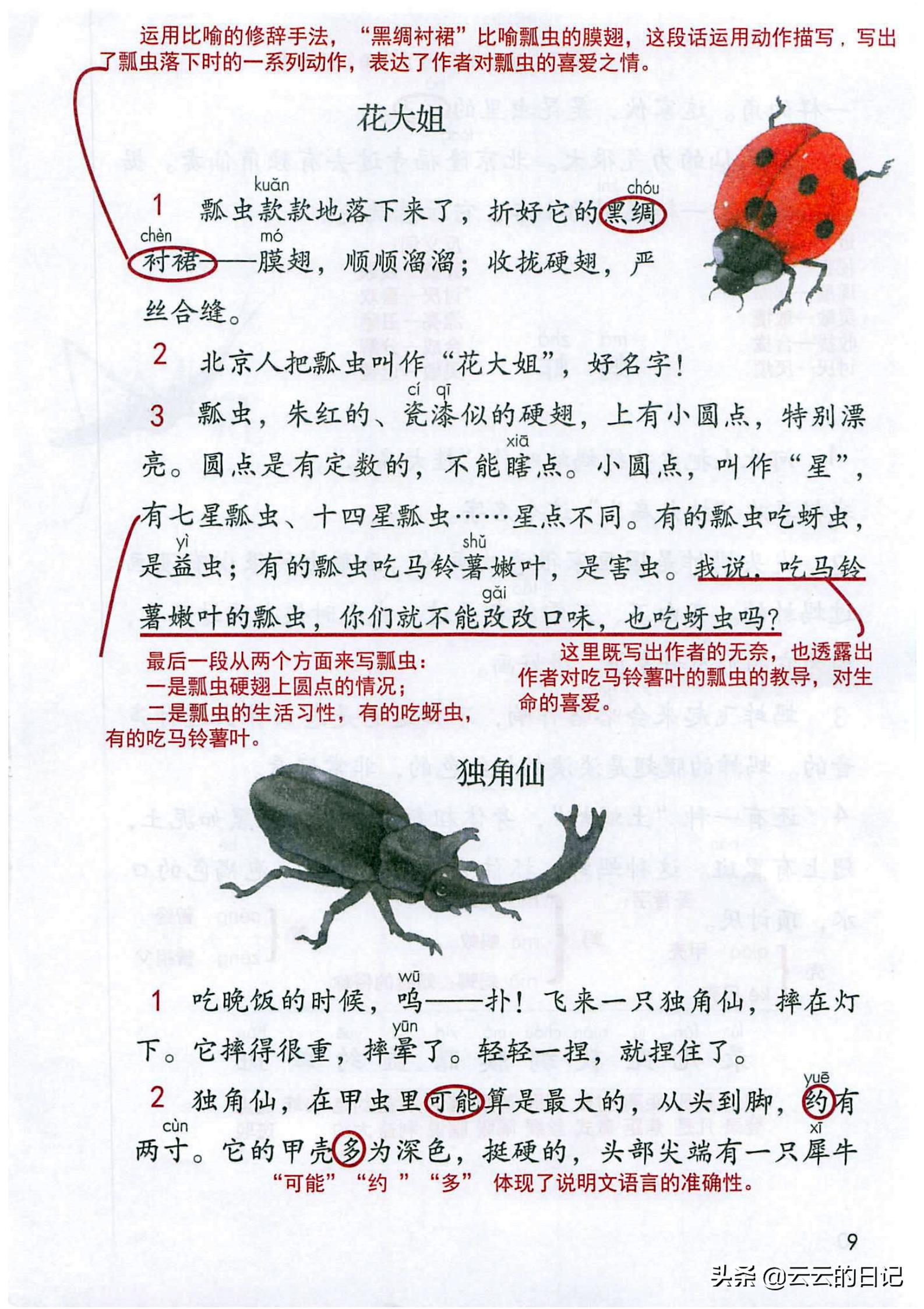 三年级下册语文笔记完整版讲解,三年级下册语文第一课注释